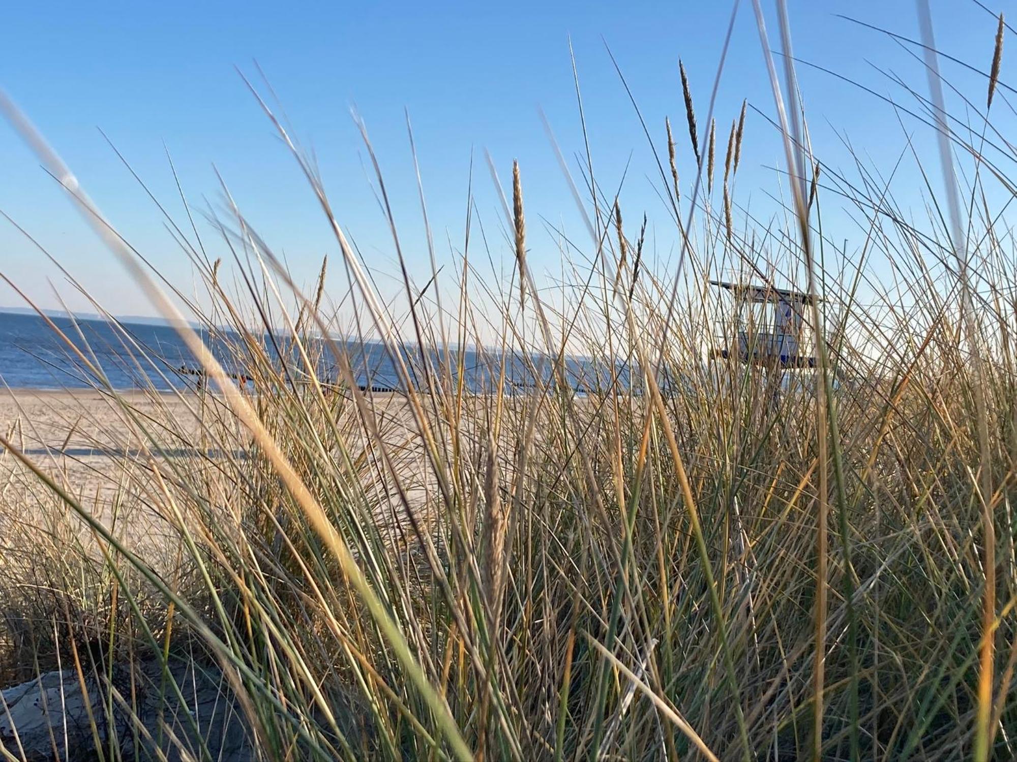 הרינגסדורף Ferienwohnungen Ostsee & Mehr מראה חיצוני תמונה